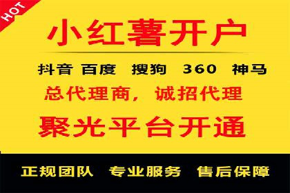 案例研究：SEM开户助力电商快速崛起
